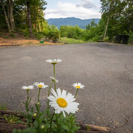 Real Log Cabin With Amazing Views, Hot Tub, Sauna, Games Gatlinburg Exterior foto
