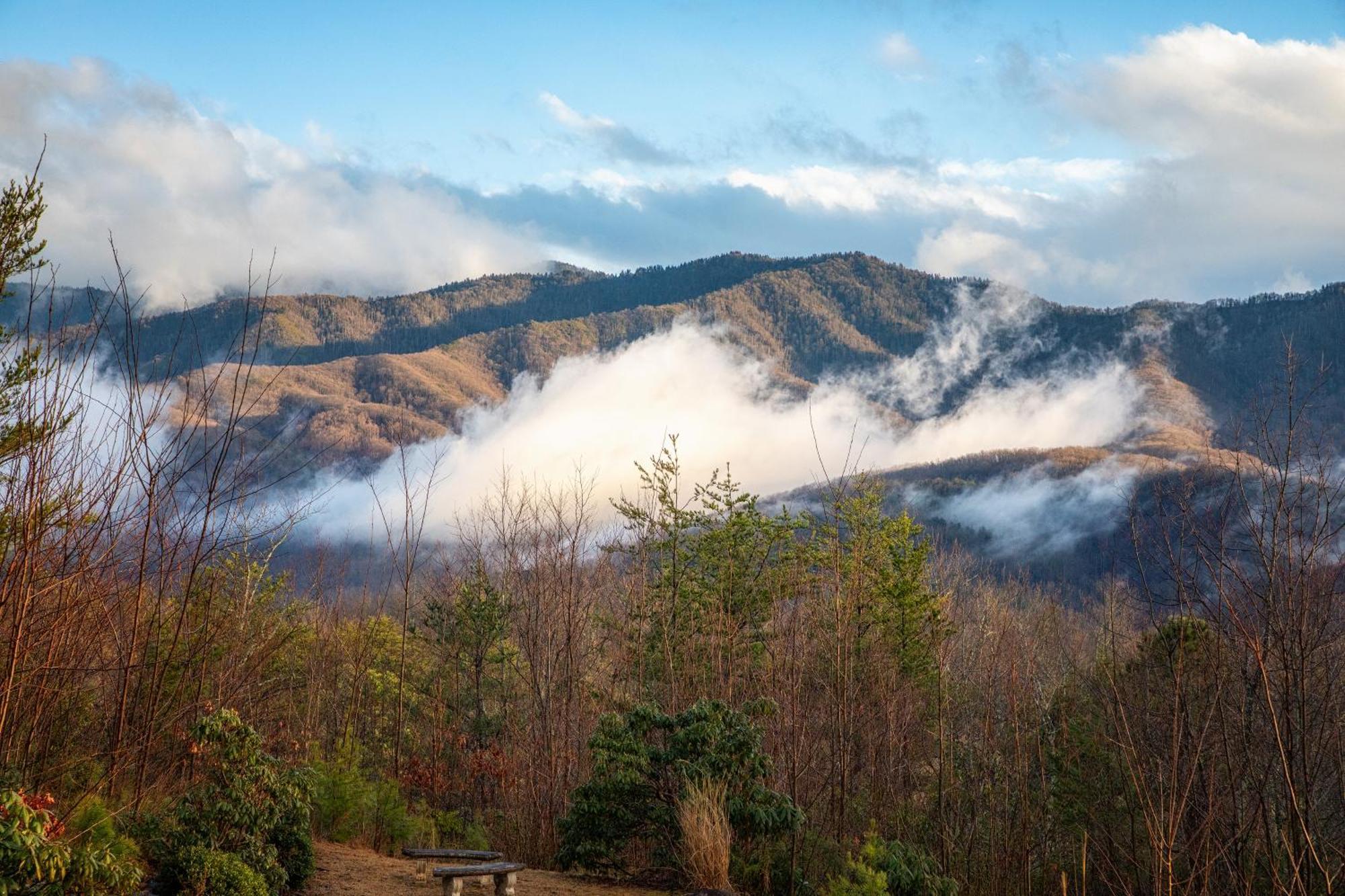 Real Log Cabin With Amazing Views, Hot Tub, Sauna, Games Gatlinburg Exterior foto